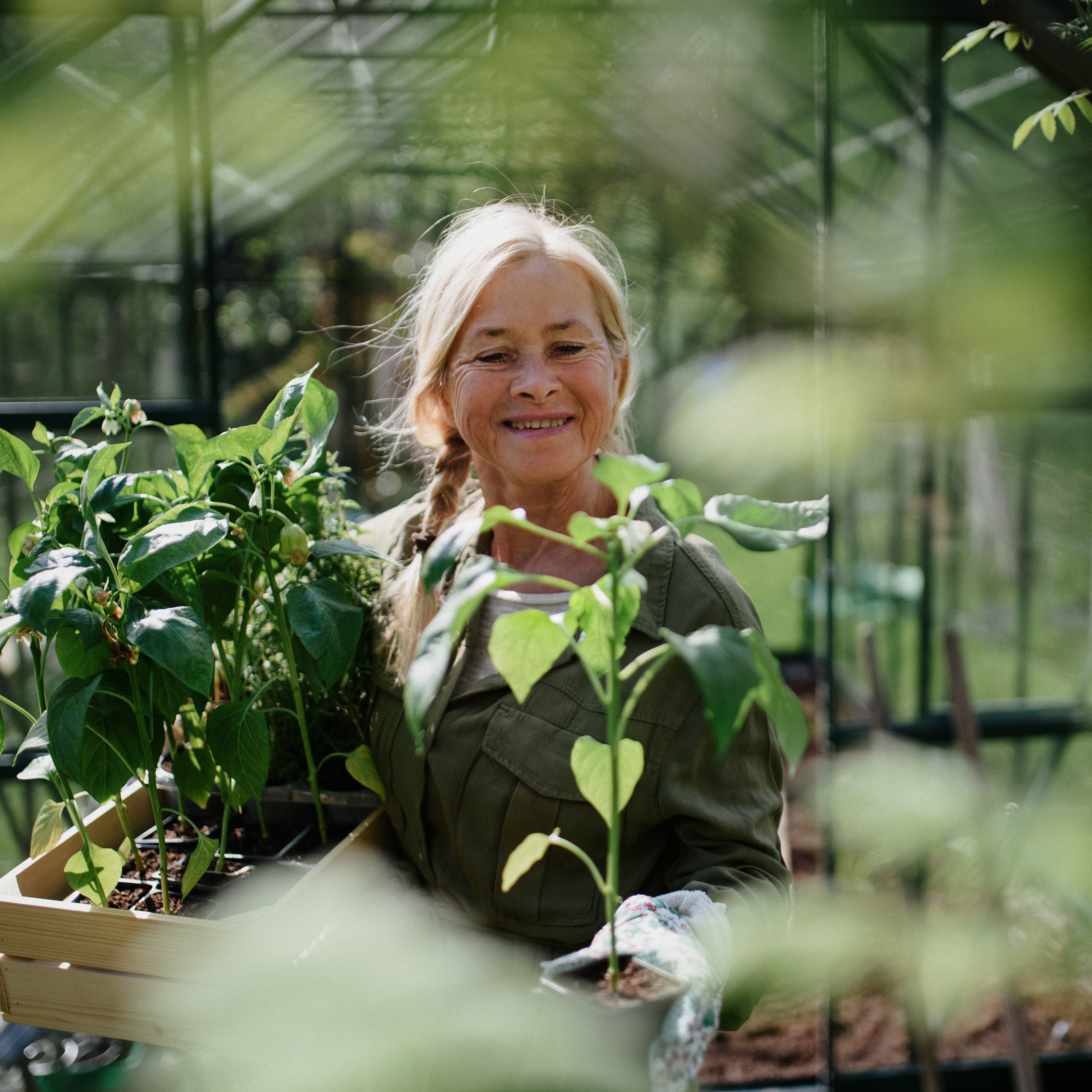Illustrasjon av fornøyd kvinne med grønne planter.